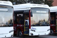 Итоги голосования в опросе